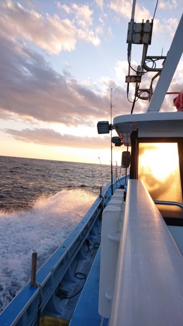 勝浦沖にジギング☆